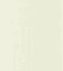 Слоновая кость